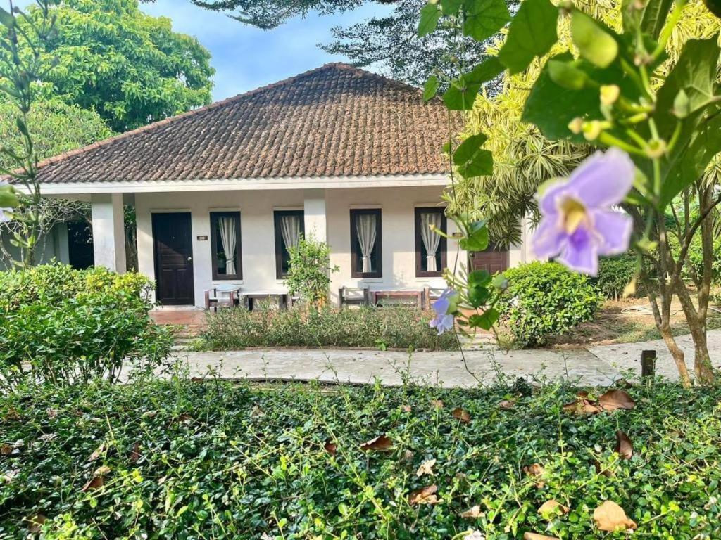 Baan Chuengkao Resort Ranong Ngoại thất bức ảnh